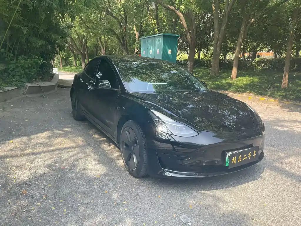 Tesla Model 3 — миниатюра 3