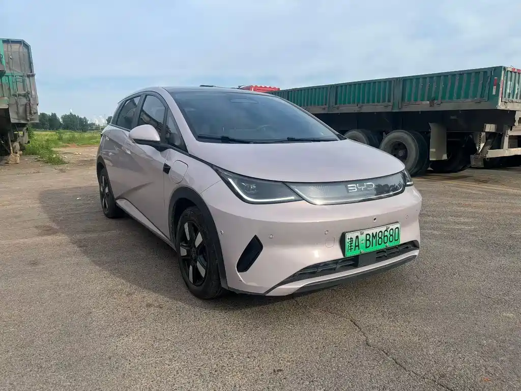 BYD Dolphin 2025 Smart Drive 410km Fashion