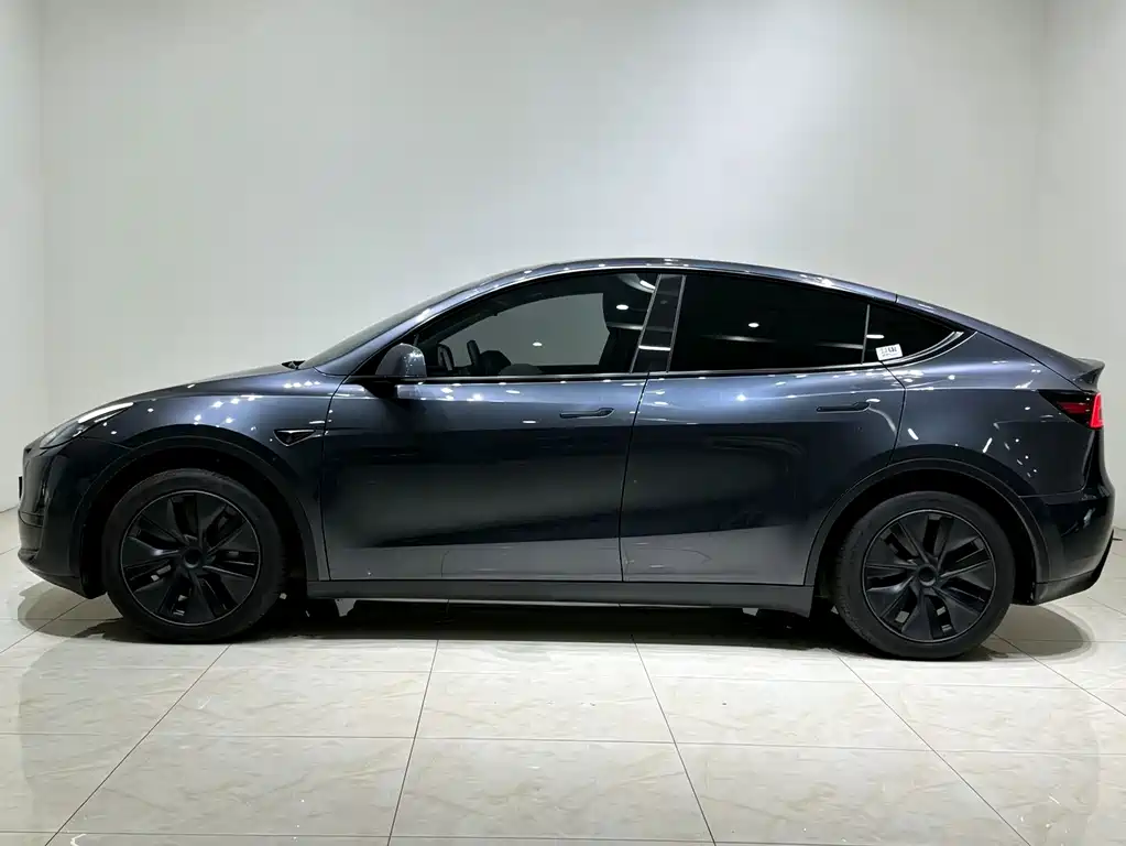 Tesla Model Y — миниатюра 4