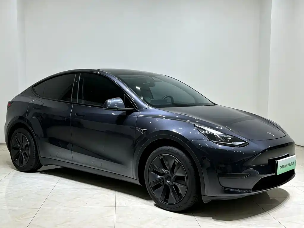 Tesla Model Y — миниатюра 3