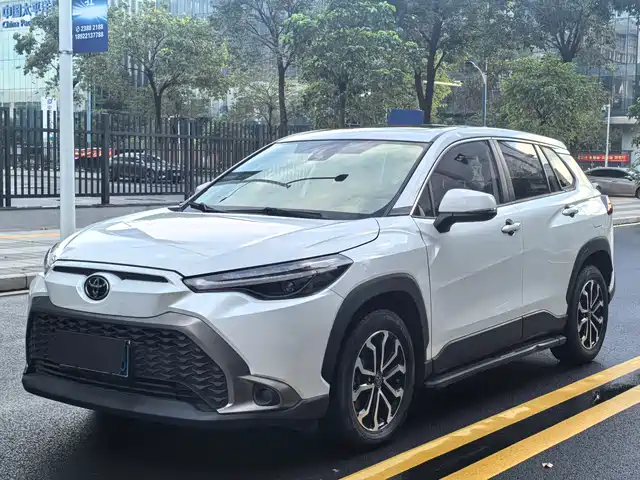 TOYOTA FENGLANDA 2023