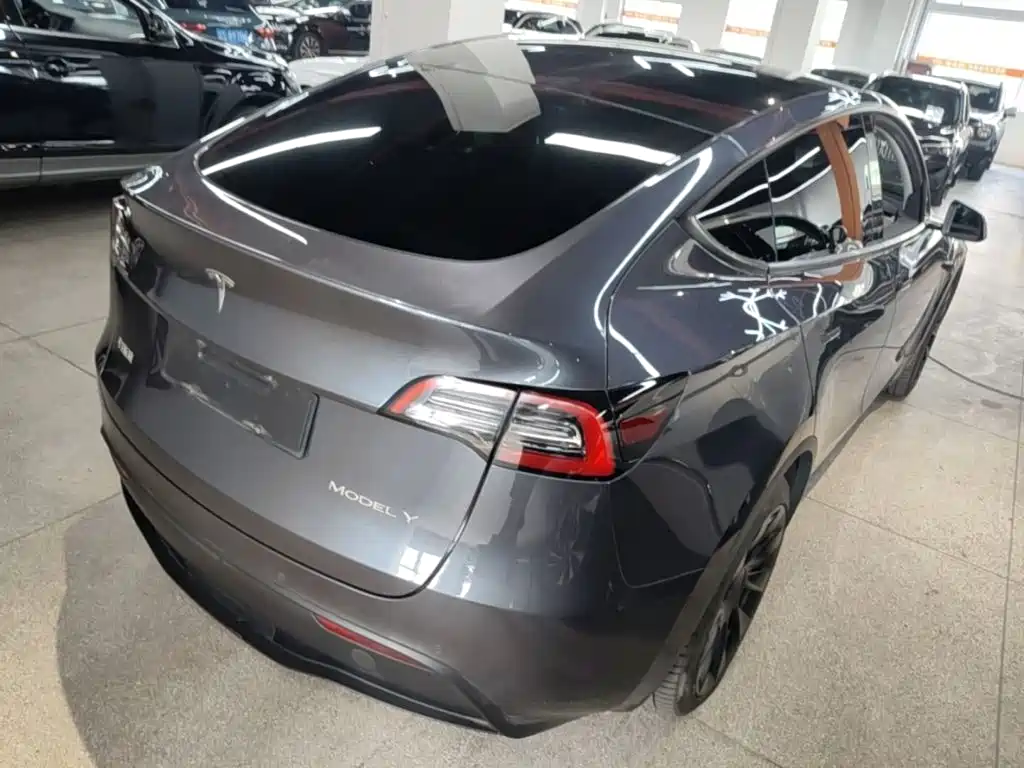 Tesla Model Y — миниатюра 7