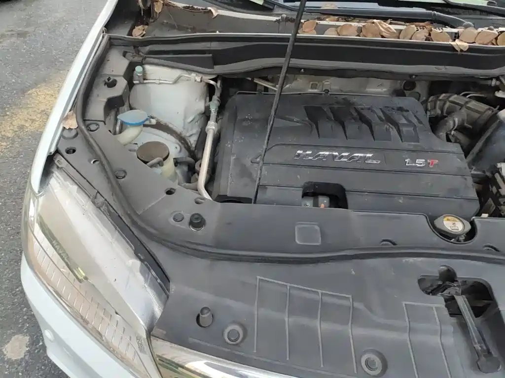 Haval H6 — миниатюра 21