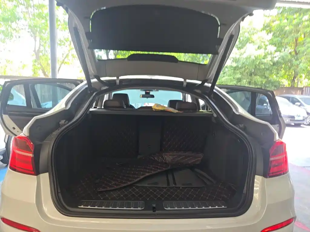 BMW X4 — миниатюра 19