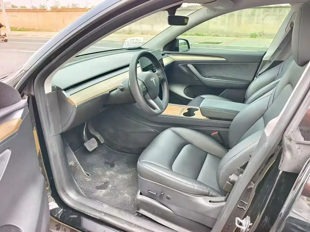 Tesla Model Y — миниатюра 3
