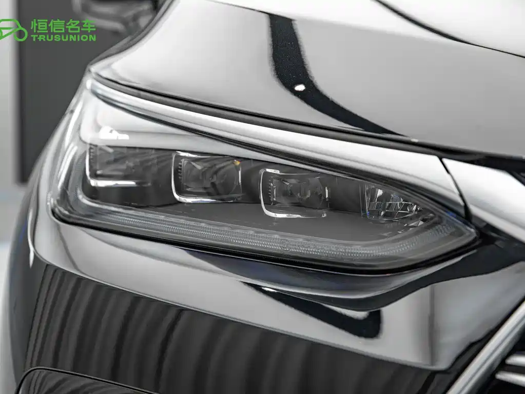BYD Tang New Energy — миниатюра 10