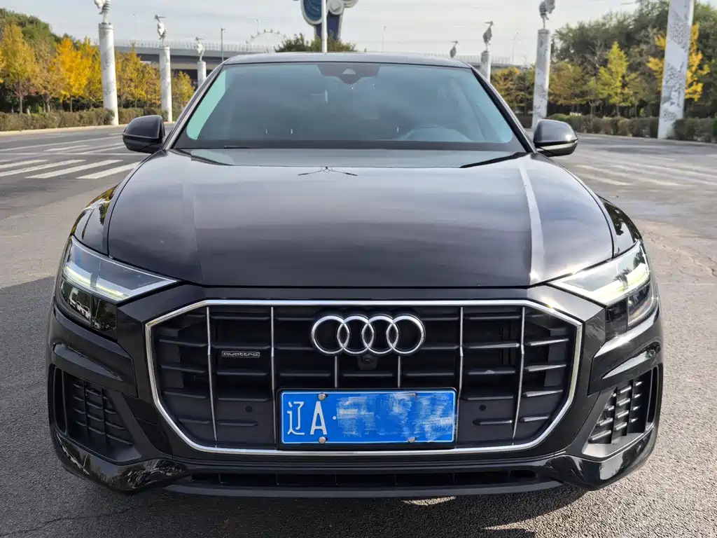 Audi Q8 — миниатюра 3