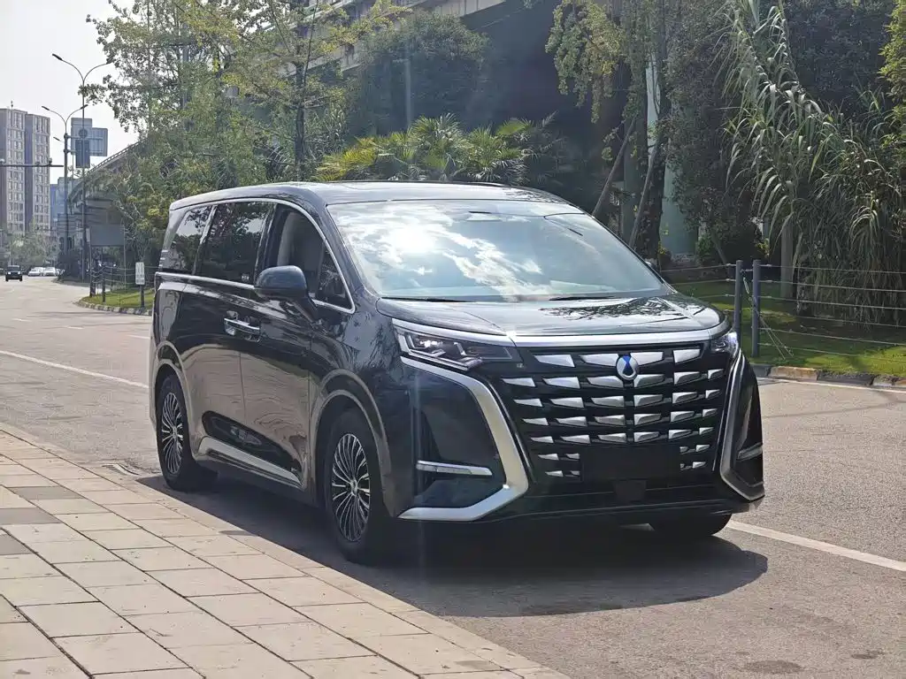 Denza Denza D9 — миниатюра 21