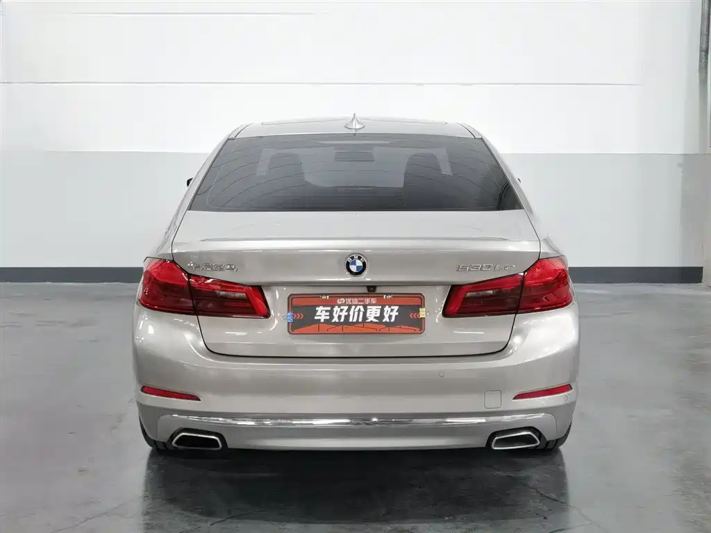 BMW 5 Series 5 2020 530Le Luxury