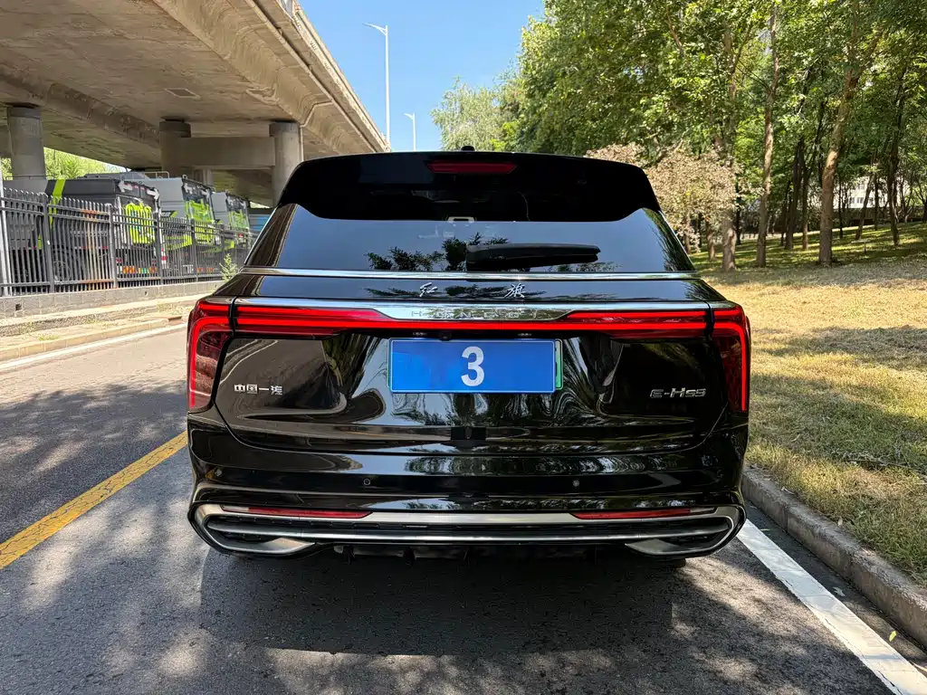 Hongqi Hongqi E-HS9 — миниатюра 10