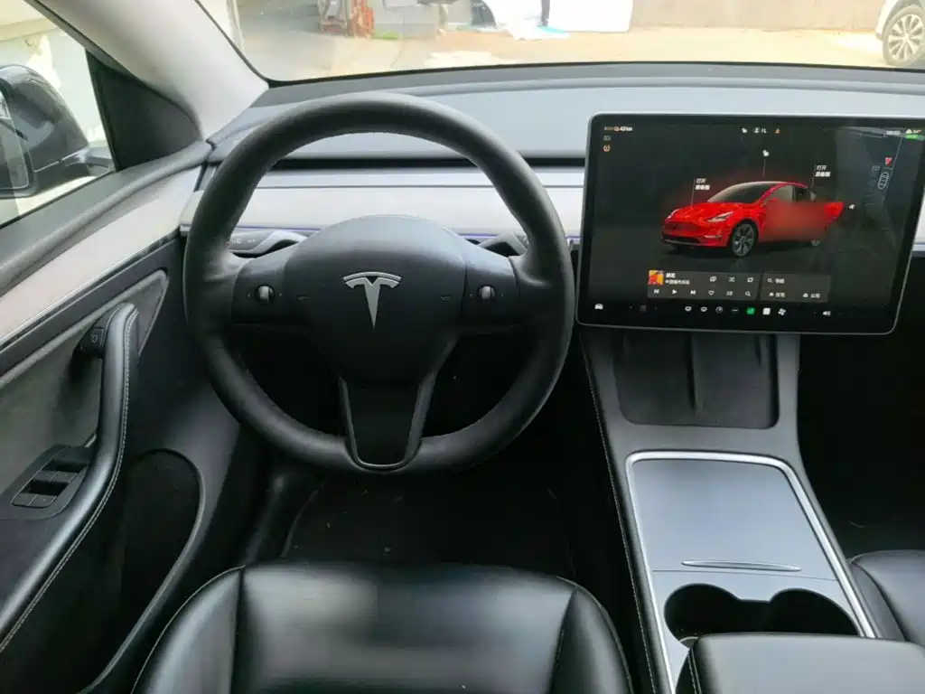 Tesla Model Y — миниатюра 11