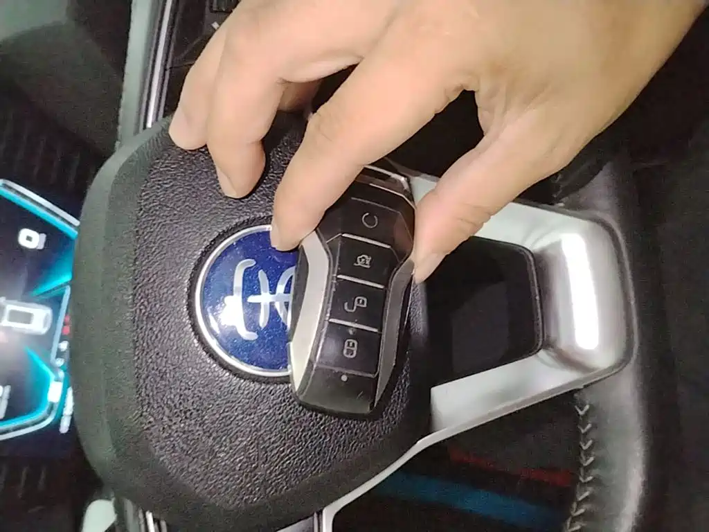 BYD Pro — миниатюра 9