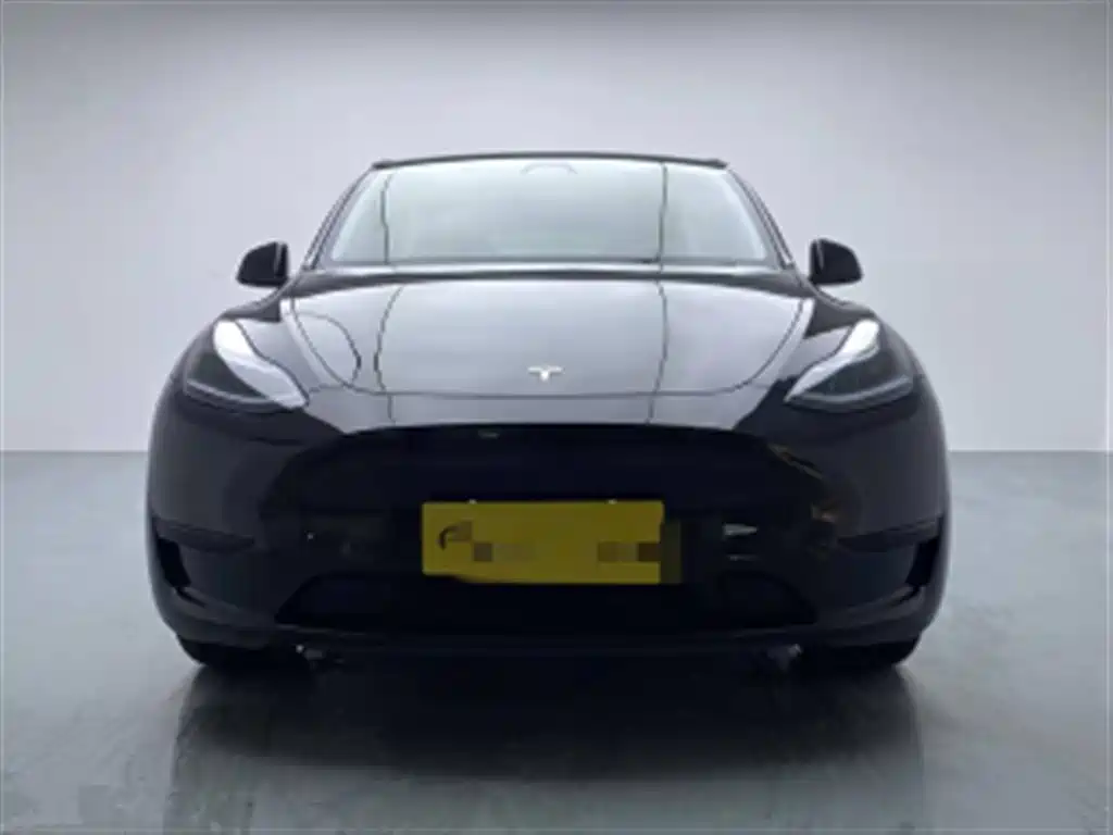 Tesla Model Y — миниатюра 11