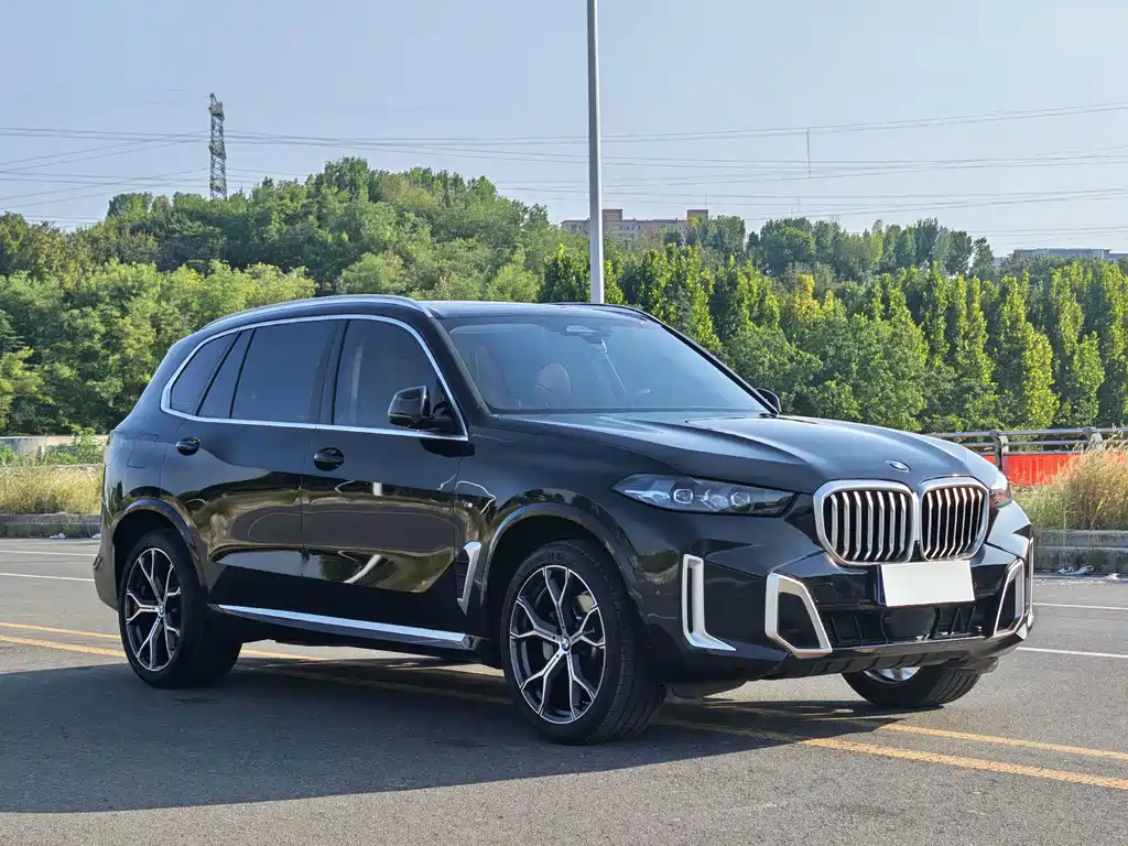 BMW X5 — миниатюра 3