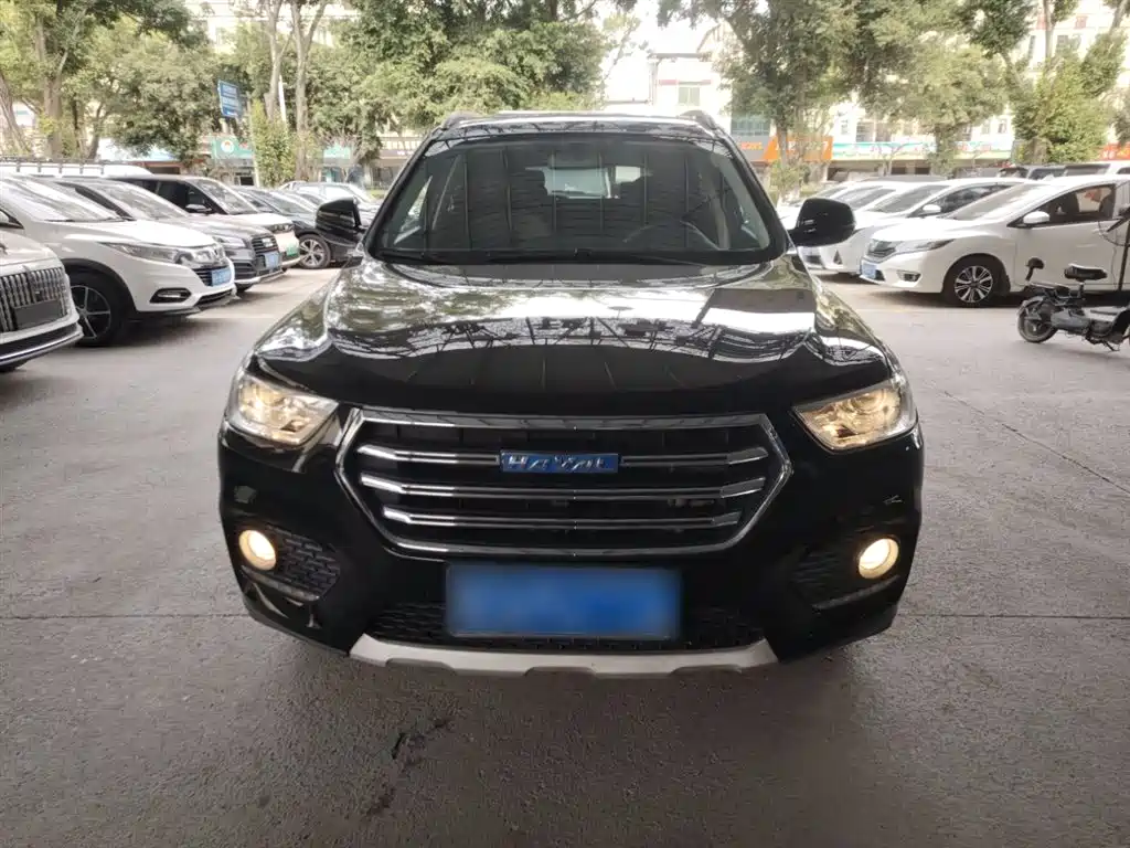 HAVAL H2