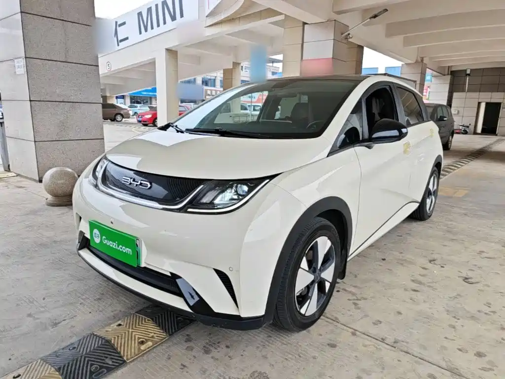 BYD Dolphin — миниатюра 2