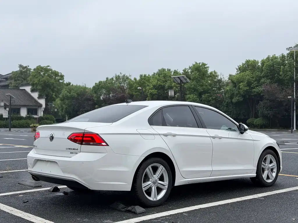 Volkswagen Lamando — миниатюра 7