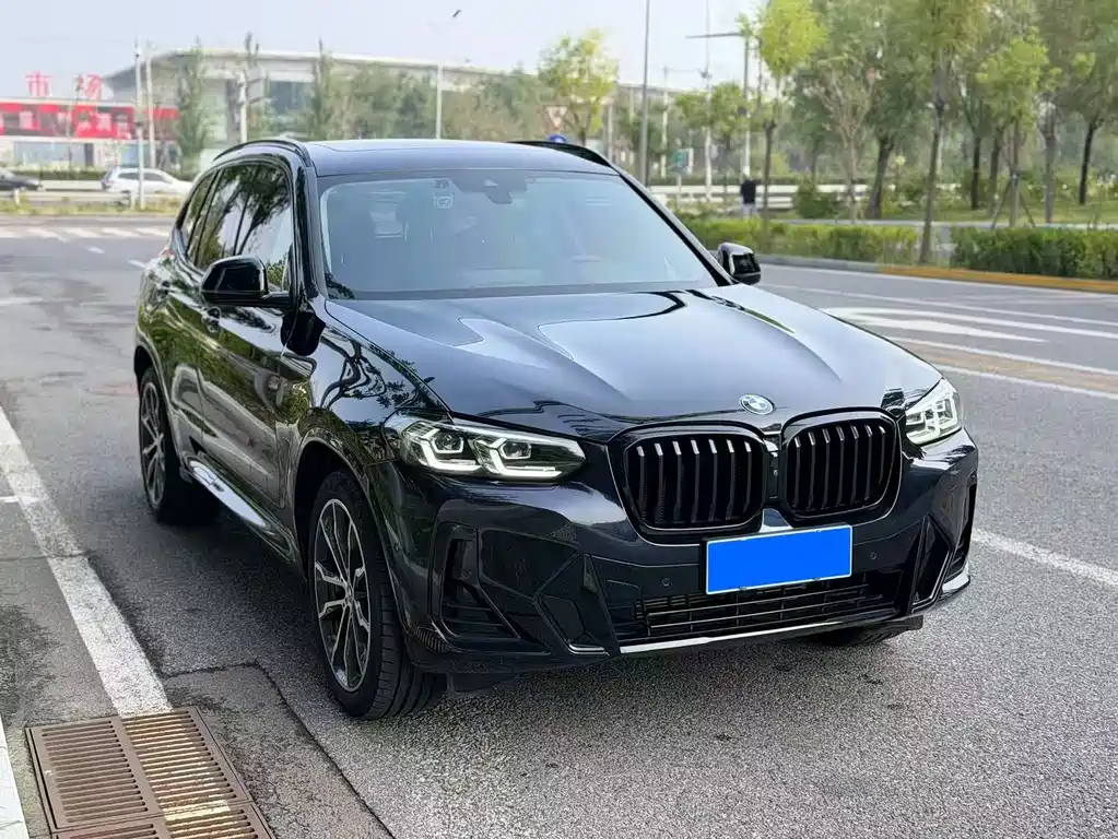 BMW X3 — миниатюра 6