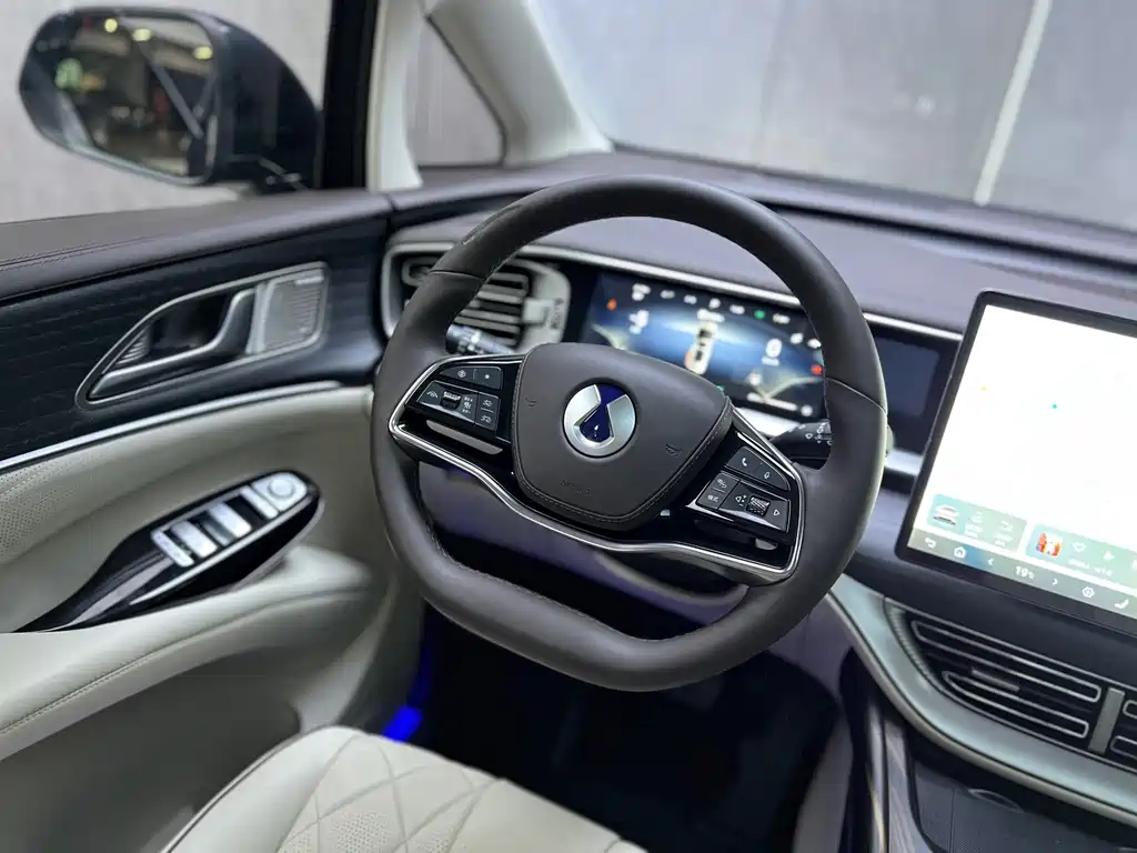 Denza Denza D9 — миниатюра 6