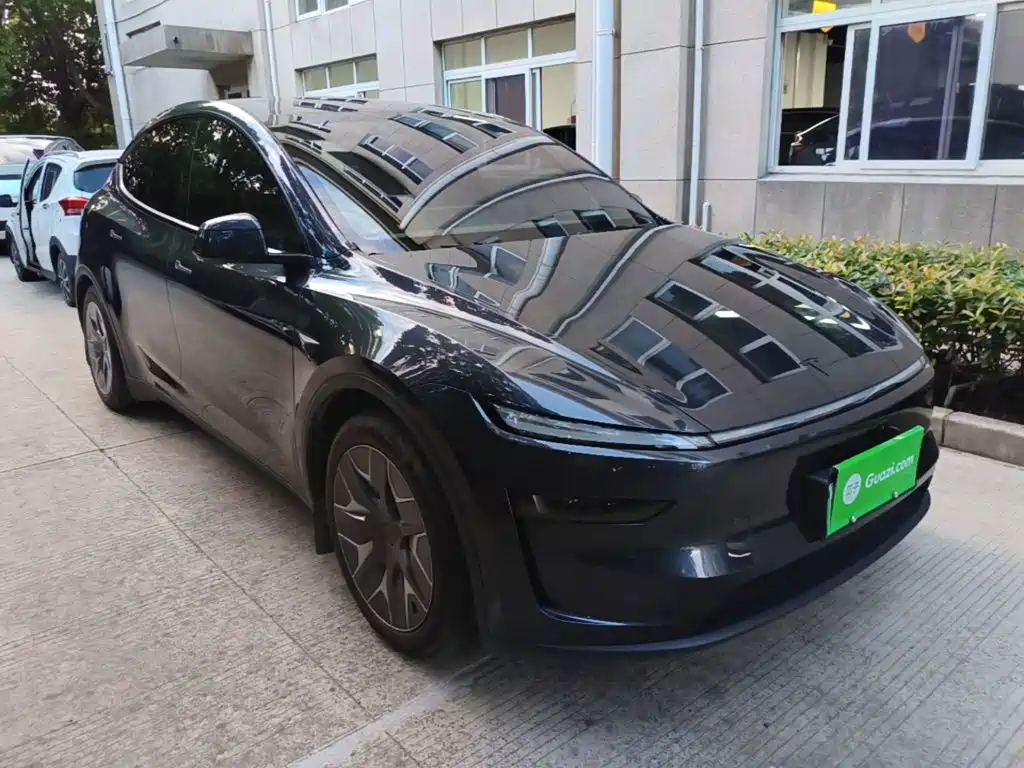 Tesla Model Y L — миниатюра 4