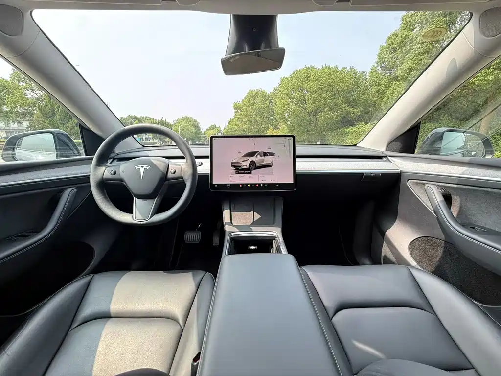 Tesla Model Y — миниатюра 5