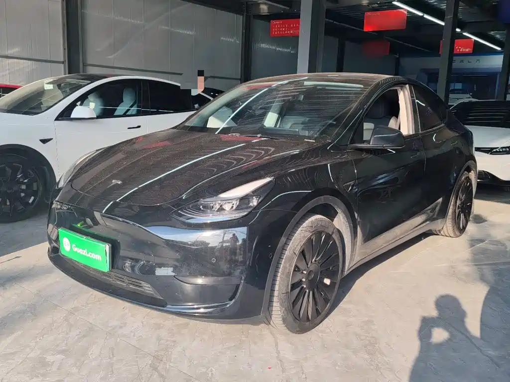 Tesla Model Y — миниатюра 2