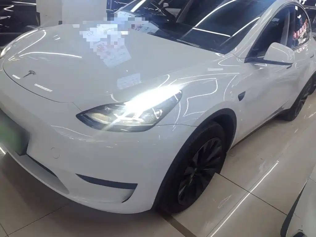 Tesla Model Y — миниатюра 2
