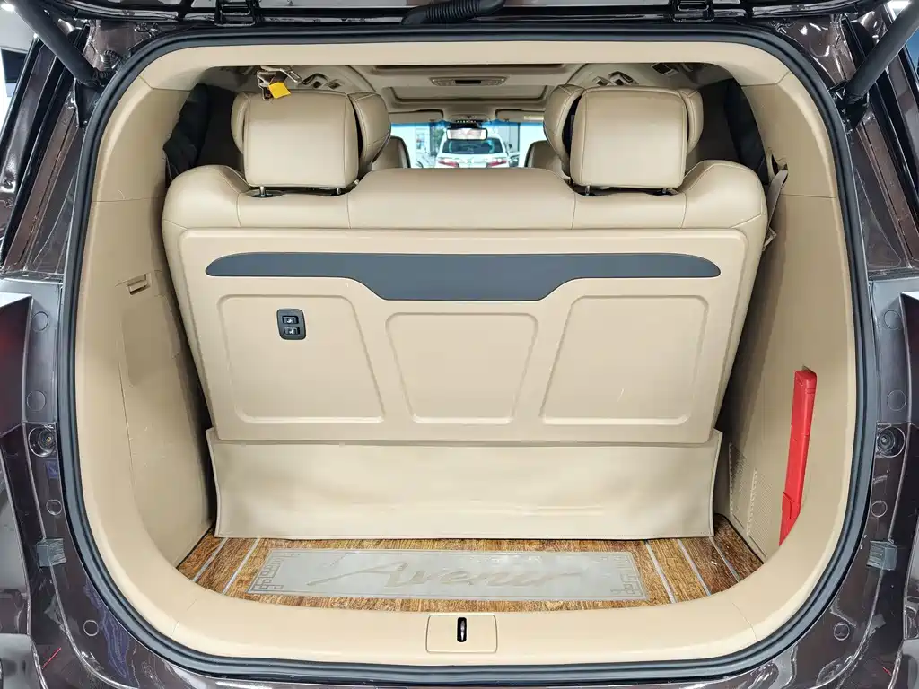 Buick GL8 — миниатюра 12