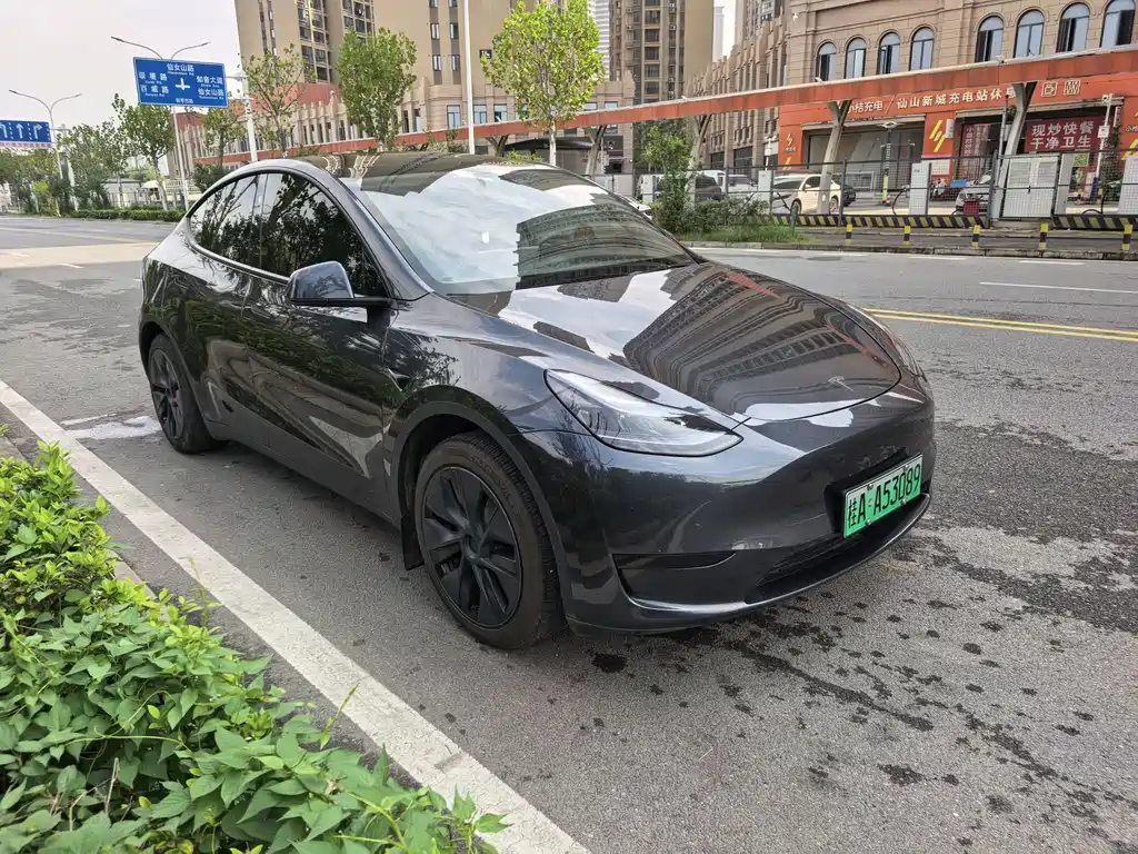 Tesla Model Y — миниатюра 3