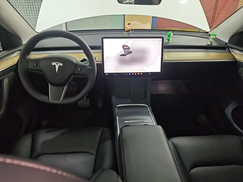 Tesla Model Y — миниатюра 10