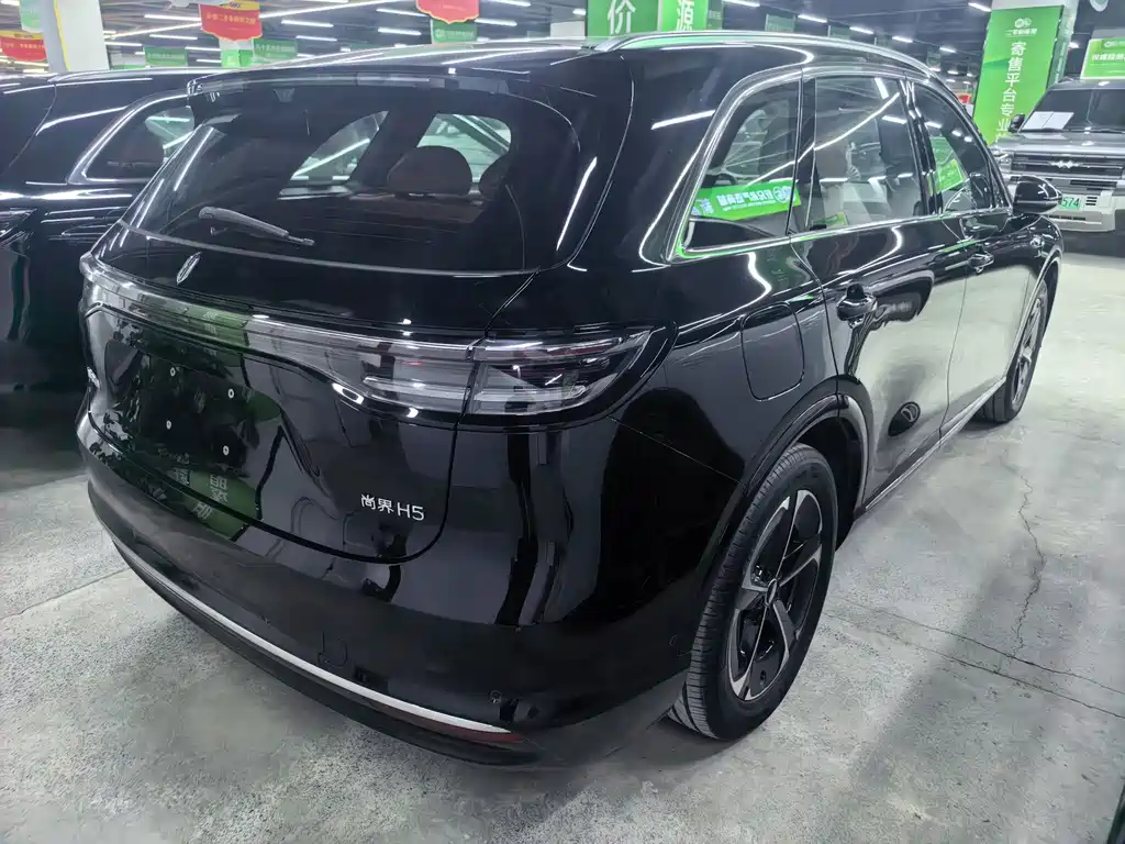 Shangjie Shangjie H5 — миниатюра 7