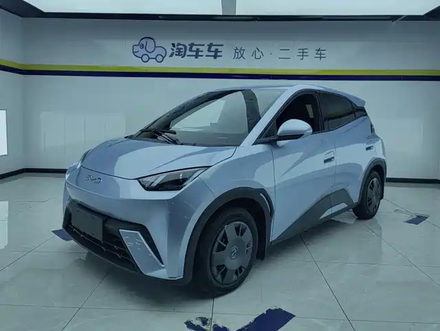 2024 BYD Seagull