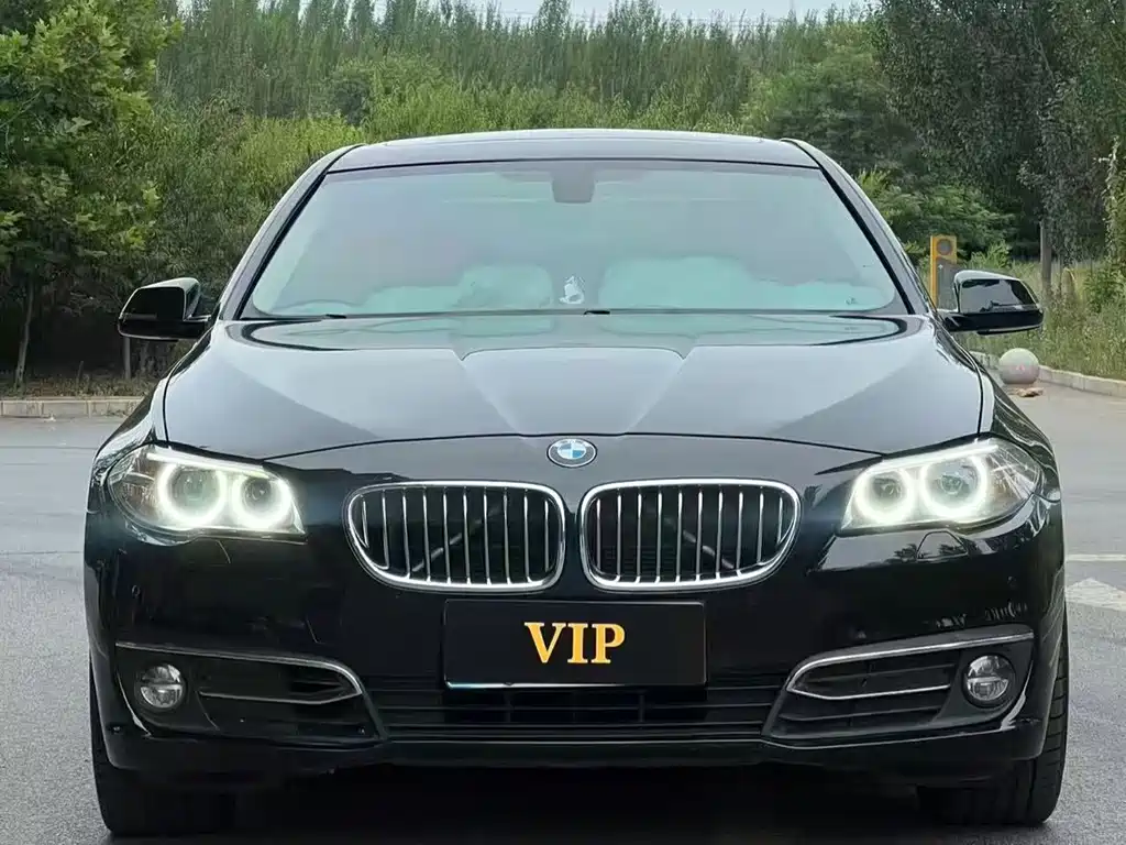BMW 5 Series — миниатюра 2