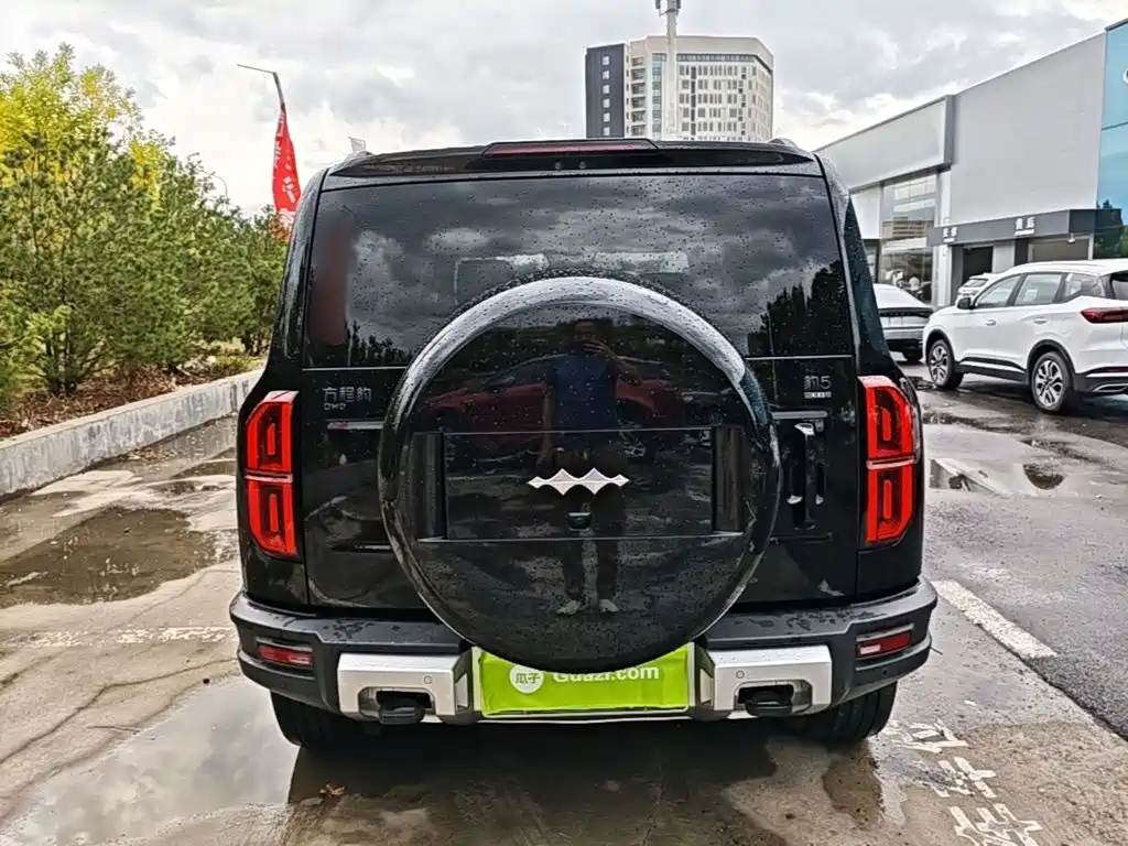 Fang Cheng Bao Leopard 5 — миниатюра 6