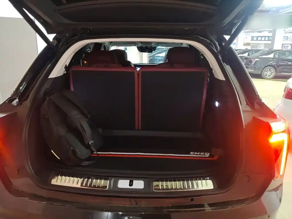 Hongqi Hongqi E-HS9 — миниатюра 19