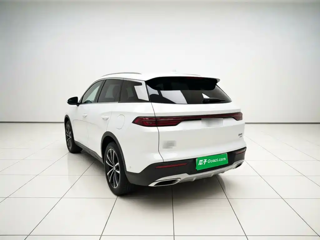 BYD Pro New Energy — миниатюра 4