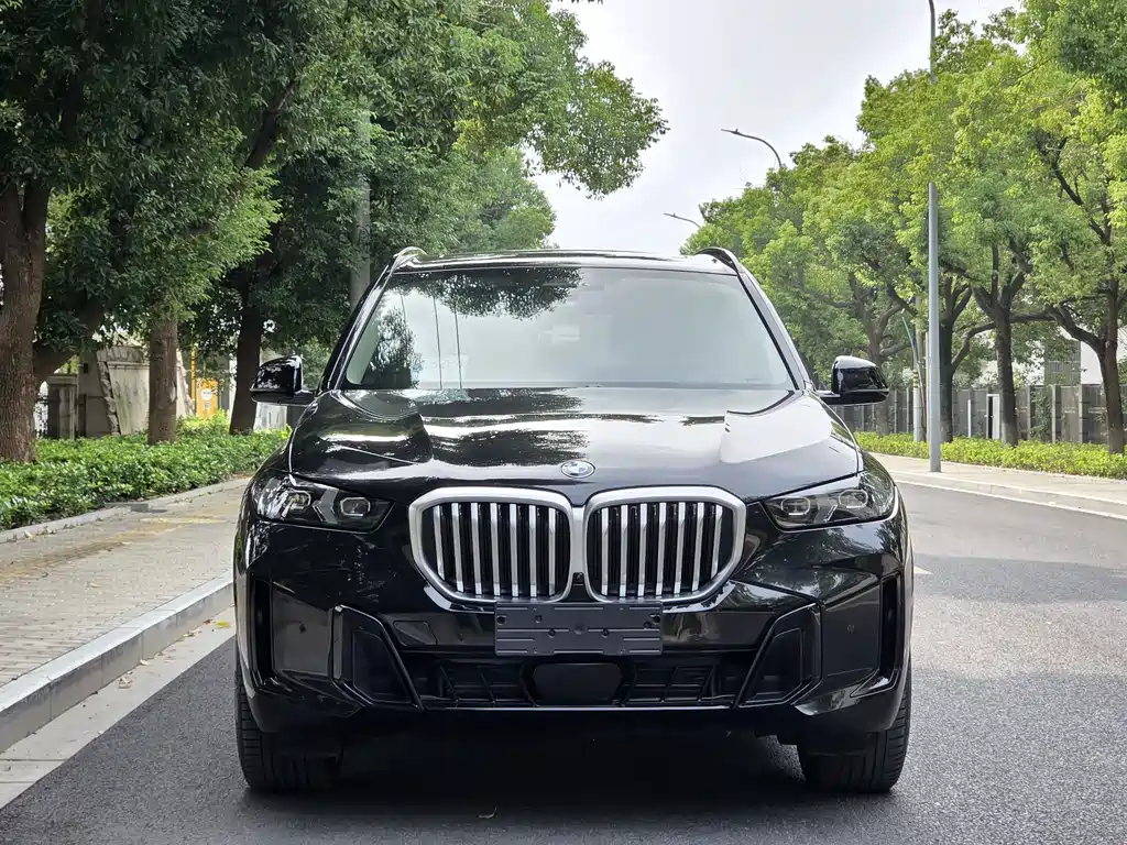 BMW X5 — миниатюра 2