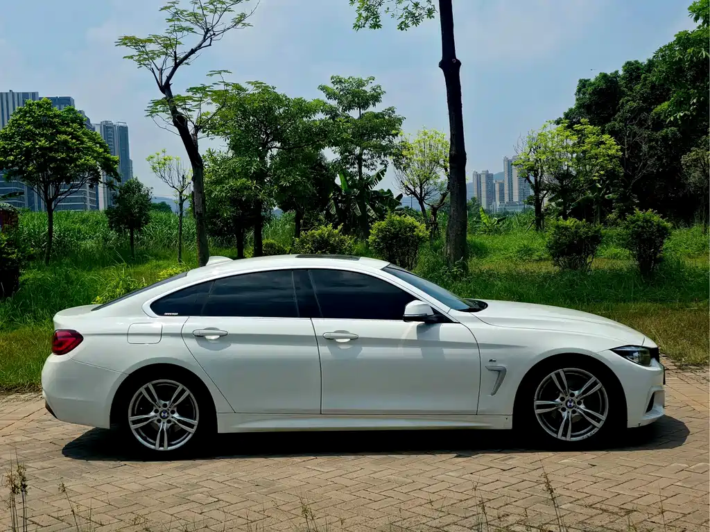 BMW 4 Series — миниатюра 4