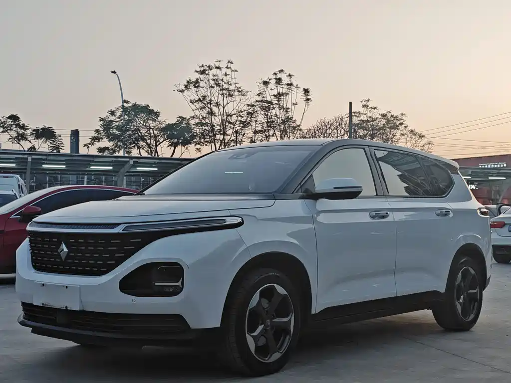BAOJUN RM 5