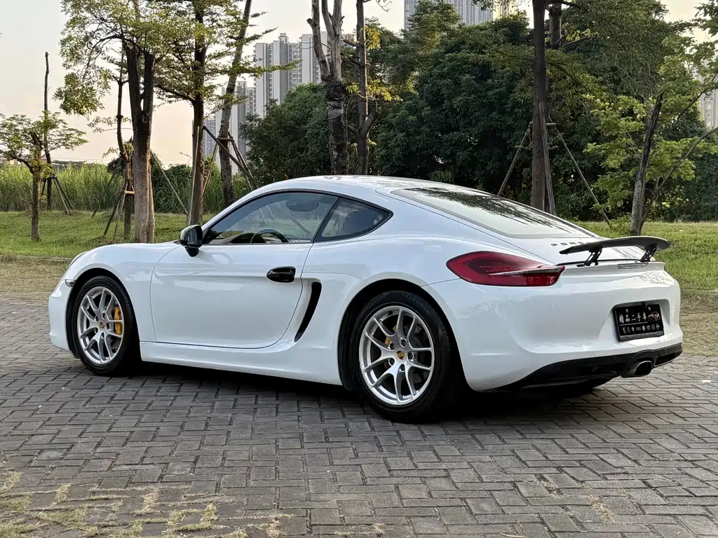 Porsche Cayman — миниатюра 13