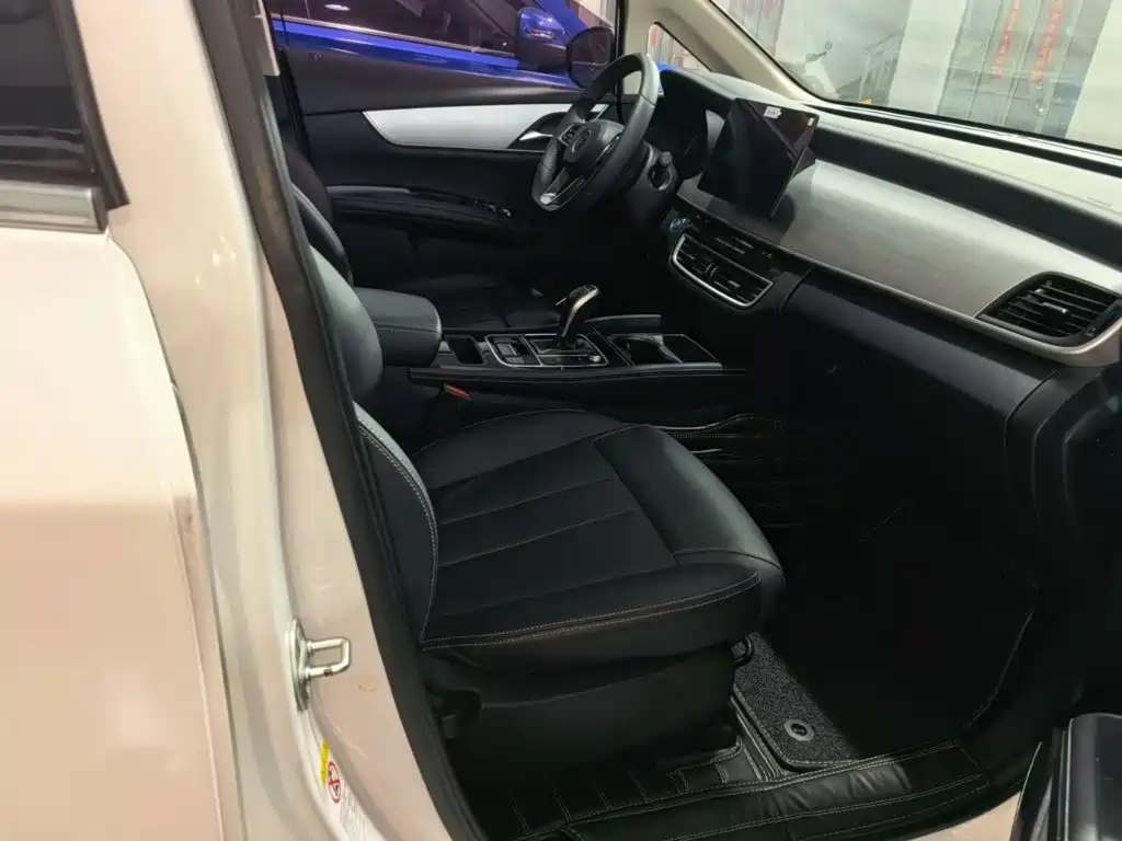 BYD MAX — миниатюра 25