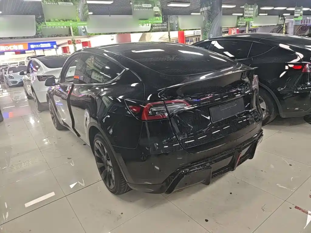 Tesla Model Y — миниатюра 5