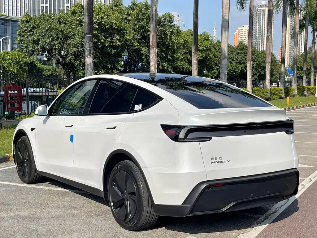Tesla Model Y — миниатюра 15
