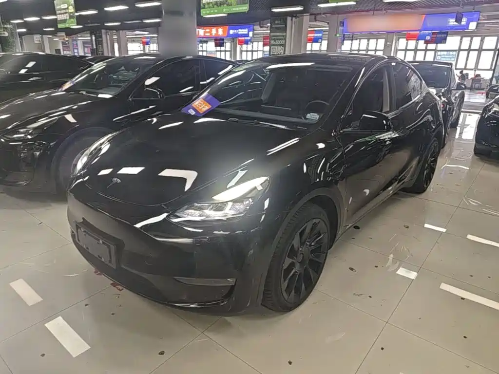 Tesla Model Y — миниатюра 2