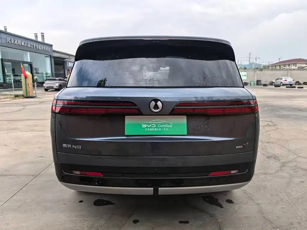 Denza Denza N9 — миниатюра 10