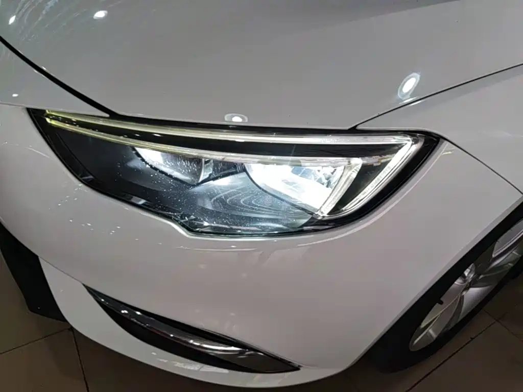 Buick Regal — миниатюра 24