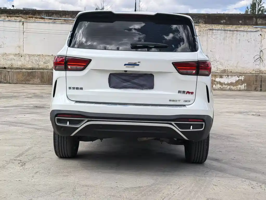 Oshan Oushang Kosai Pro — миниатюра 14
