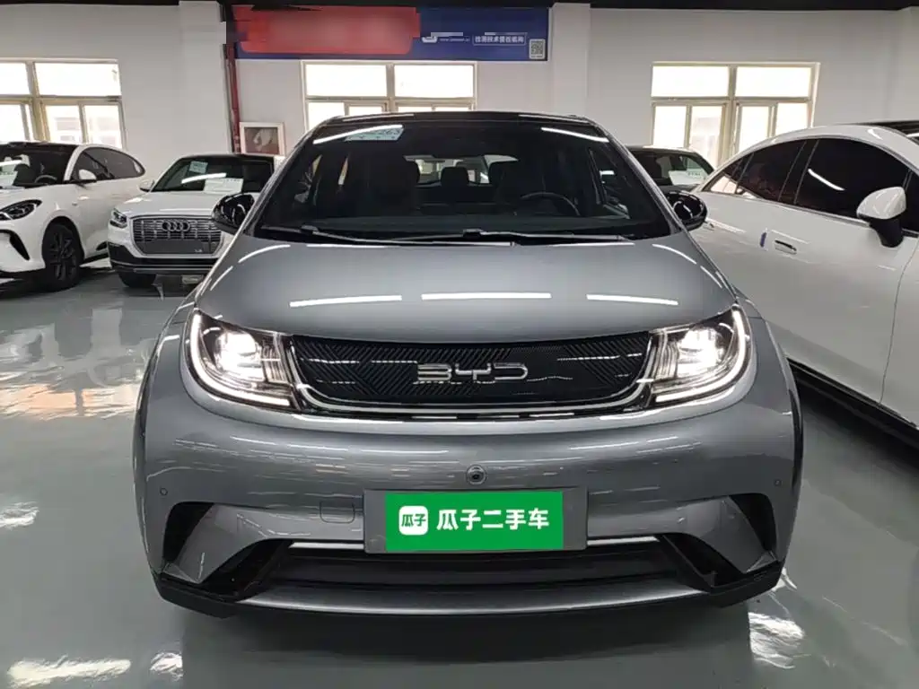 BYD Dolphin — миниатюра 3