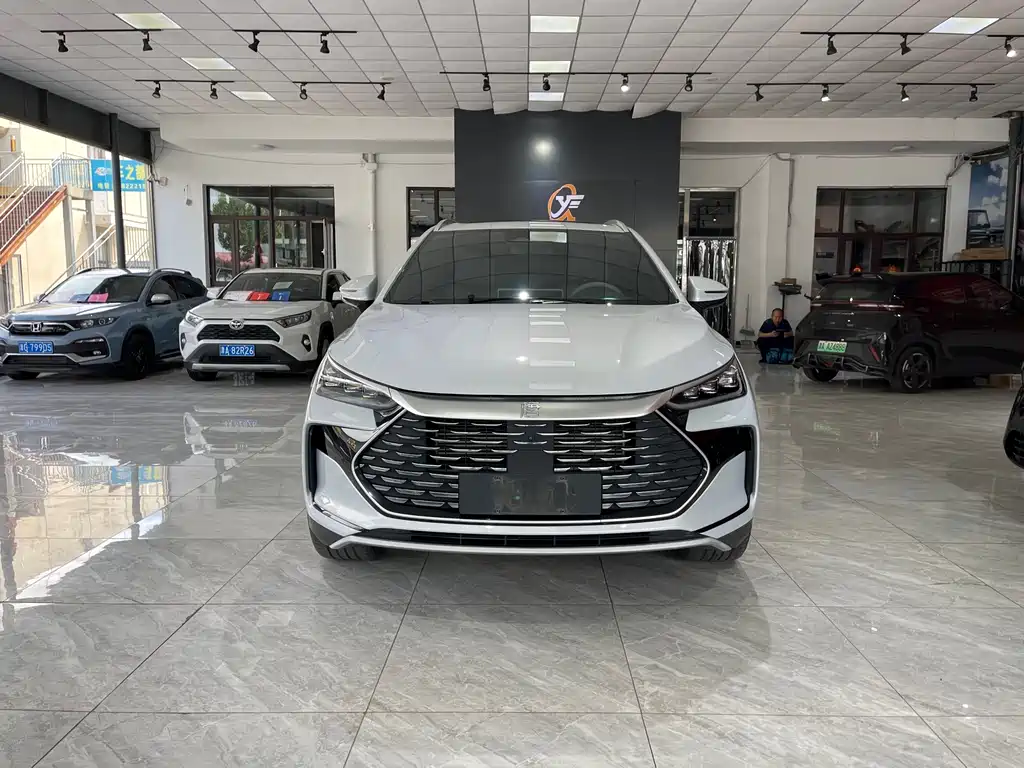 BYD Tang New Energy — миниатюра 2
