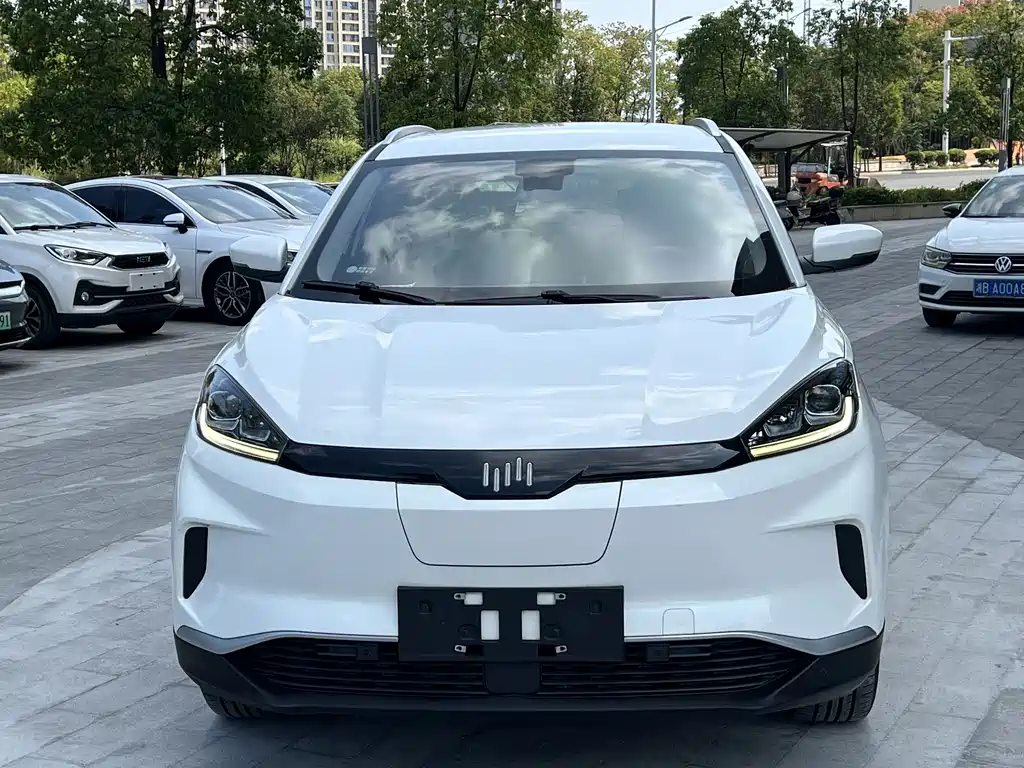 WM Motor EX5